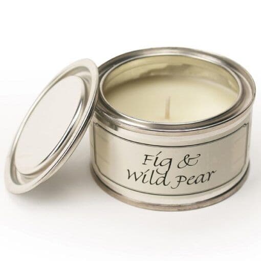 Fig and Wild Pear Paint Pot Candle