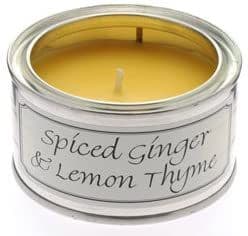 Spiced Ginger & Lemon Thyme Paintpot Candle